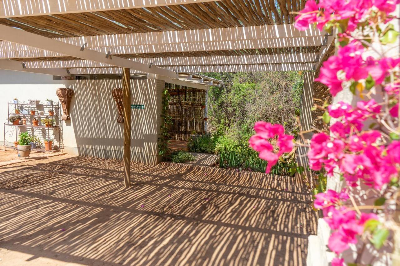 Gasteria Grange Guest House Калицдорп Екстериор снимка